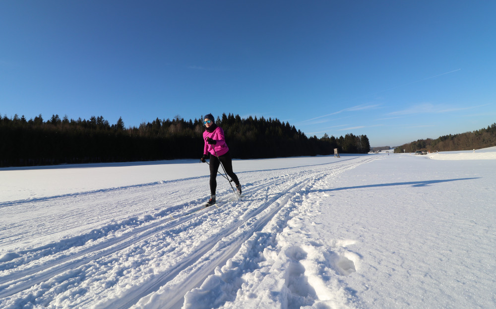 Langlauf auf der klassichen Schupfloipe in Waller an einem Sonnentag